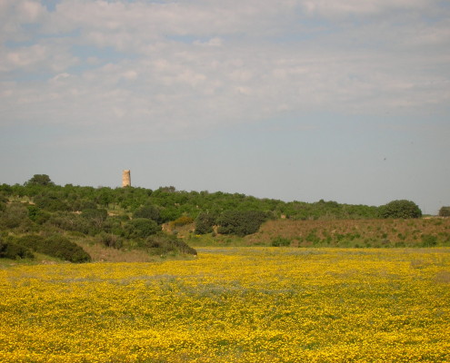 Torre di Eloro - Cuori Giovani